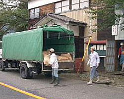 シイナを貯蔵庫に運ぶ