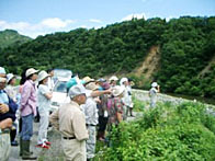 黒谷川の観察会