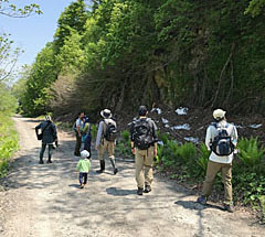 小戸沢林道を行く