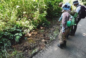 イノシシの荒らした跡