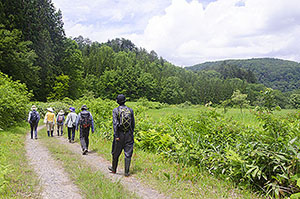 林道の帰り道