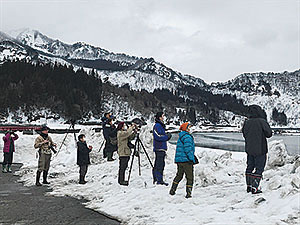 滝湖の観察