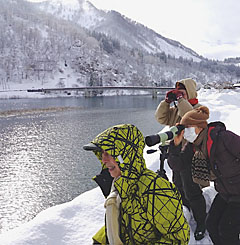 滝湖で観察のようす