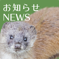 お知らせ NEWS