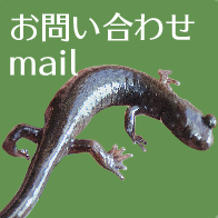 お問い合わせmail