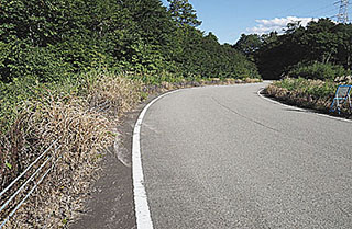 国道252号田子倉地内における除草剤使用状況