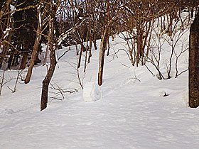 巨大雪まくり