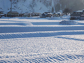 雪エクボ