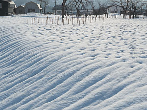 雪エクボ