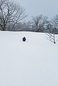 ソリで遊ぶ