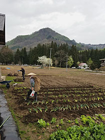 野良仕事のはじまり