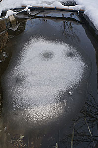 消雪池に雪化粧