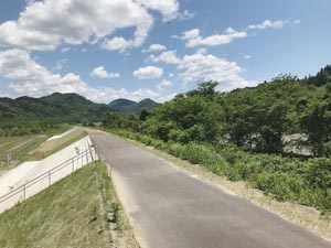 亀岡の伊南川堤防