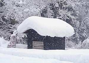 屋根の雪