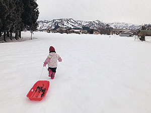 かた雪わたり