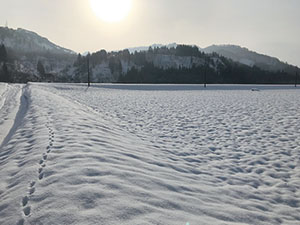 雪えくぼ