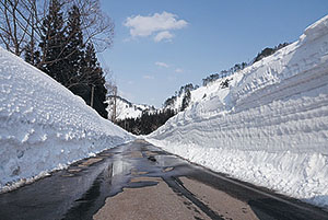 叶津の雪壁