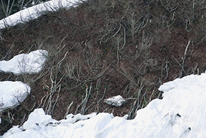 雪崩斜面