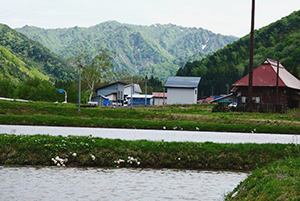 黒谷白沢