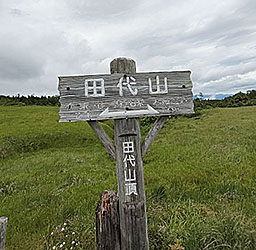 田代山山頂付近の湿原